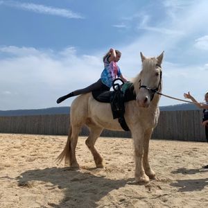 Meet your Posher, Morgan